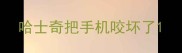哈士奇把手机咬坏了