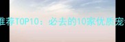 临沂口碑宠物店推荐TOP10必去的10家优质宠物店及服务指南