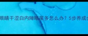 拉布拉多护眼指南眼睛干涩白内障眼屎多怎么办5步养成会看世界的汪星人