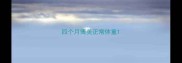四个月博美正常体重