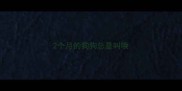 2个月的狗狗总是叫唤