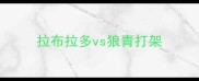 拉布拉多vs狼青打架