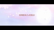宠物医院几点营业