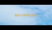 猫咪马桶喝水搞笑