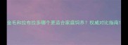 金毛和拉布拉多哪个更适合家庭饲养权威对比指南