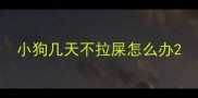 小狗几天不拉屎怎么办