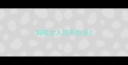 狗吼主人拉布拉多