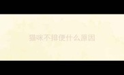 猫咪不排便什么原因