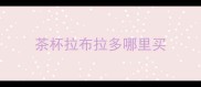 茶杯拉布拉多哪里买