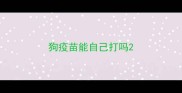 狗疫苗能自己打吗