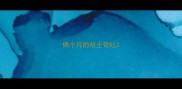 俩个月的哈士奇吐