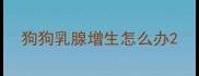 狗狗乳腺增生怎么办