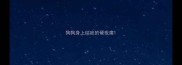 狗狗身上结疤的硬疙瘩