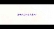 猫咪肉芽肿能自愈吗