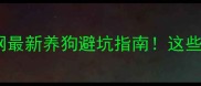 拉布拉多禁养犬全网最新养狗避坑指南这些城市养它直接罚款
