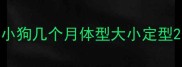 小狗几个月体型大小定型