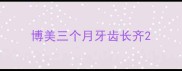 博美三个月牙齿长齐