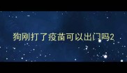 狗刚打了疫苗可以出门吗