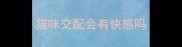 猫咪交配会有快感吗