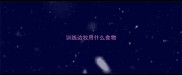 训练边牧用什么食物