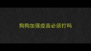 狗狗加强疫苗必须打吗
