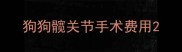 狗狗髋关节手术费用