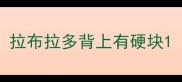 拉布拉多背上有硬块