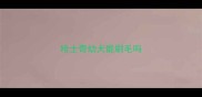 哈士奇幼犬能刷毛吗