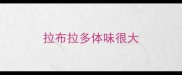 拉布拉多体味很大