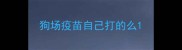 狗场疫苗自己打的么
