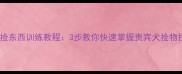 泰迪捡东西训练教程3步教你快速掌握贵宾犬捡物技巧