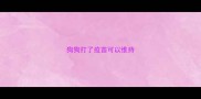 狗狗打了疫苗可以维持