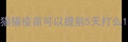 猫猫疫苗可以提前5天打么