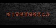 哈士奇感冒咳嗽怎么办