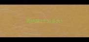 雪纳瑞2个月多大
