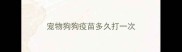 宠物狗狗疫苗多久打一次