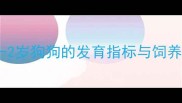 幼犬到成犬全攻略1-2岁狗狗的发育指标与饲养指南附成长对比图