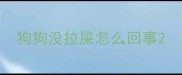 狗狗没拉屎怎么回事