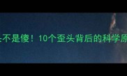 猫咪歪头不是傻10个歪头背后的科学原因