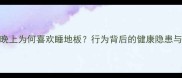 拉布拉多犬晚上为何喜欢睡地板行为背后的健康隐患与训练指南全