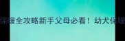 2月大幼犬保暖全攻略新手父母必看幼犬保暖细节全