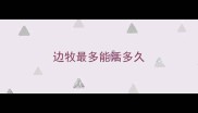 边牧最多能活多久