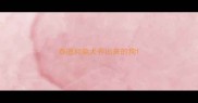 泰迪和柴犬养出来的狗