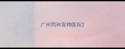 广州同和宠物医院