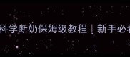 拉布拉多35天科学断奶保姆级教程新手必看零失败指南