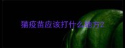 猫疫苗应该打什么地方