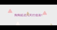 狗狗延迟几天打疫苗