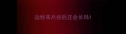 边牧来月经后还会长吗