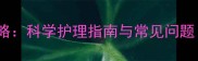母犬发情期全攻略科学护理指南与常见问题附专业建议