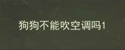 狗狗不能吹空调吗
